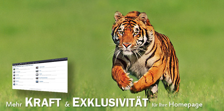 Mehr Kraft und Exklusivit�t f�r Ihre Homepage