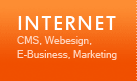 Internet: CMS, Webdesign, E-Business, Marketing, SEO